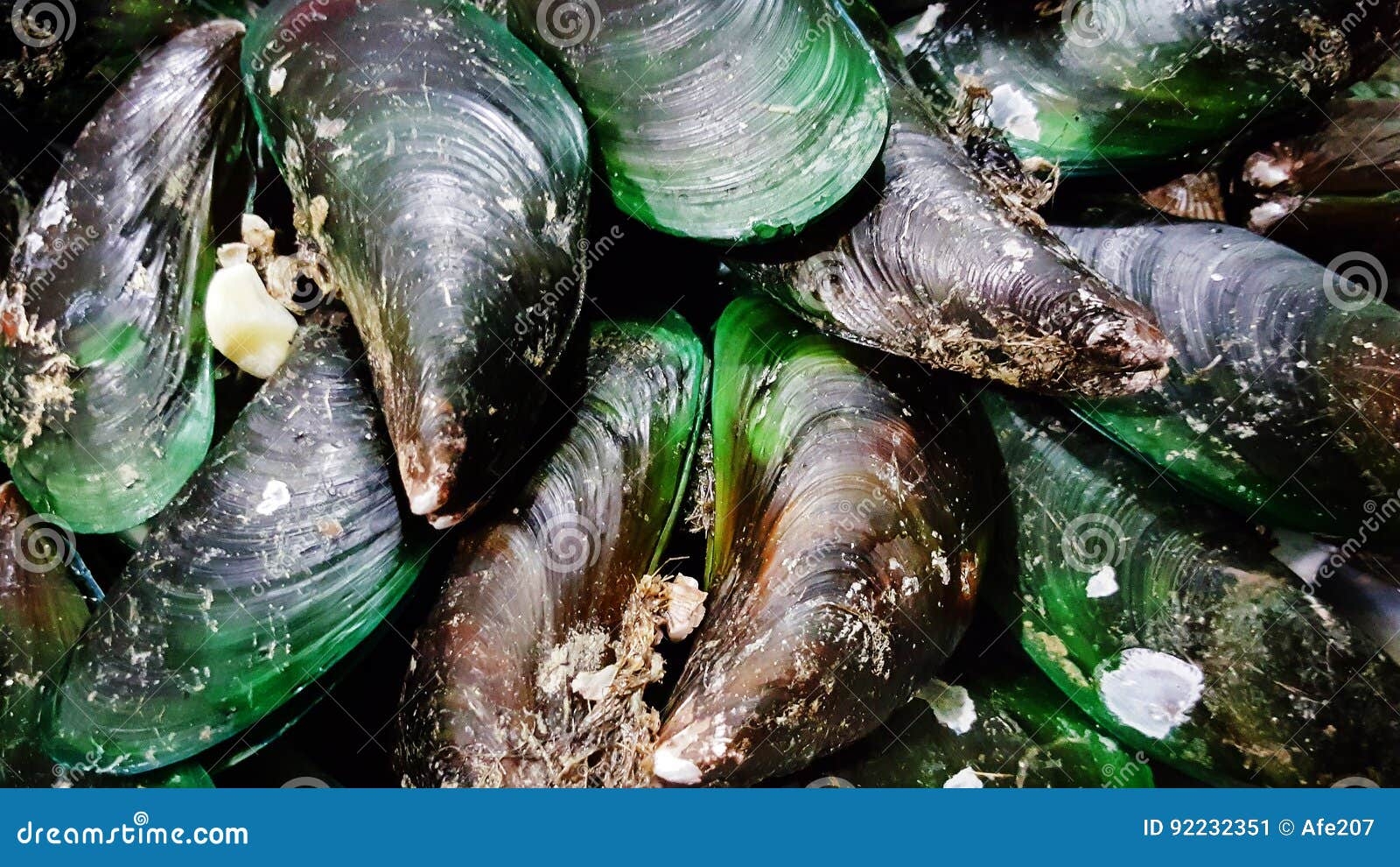 Big mussels seafood menu stock image. Image of dinner 92232351