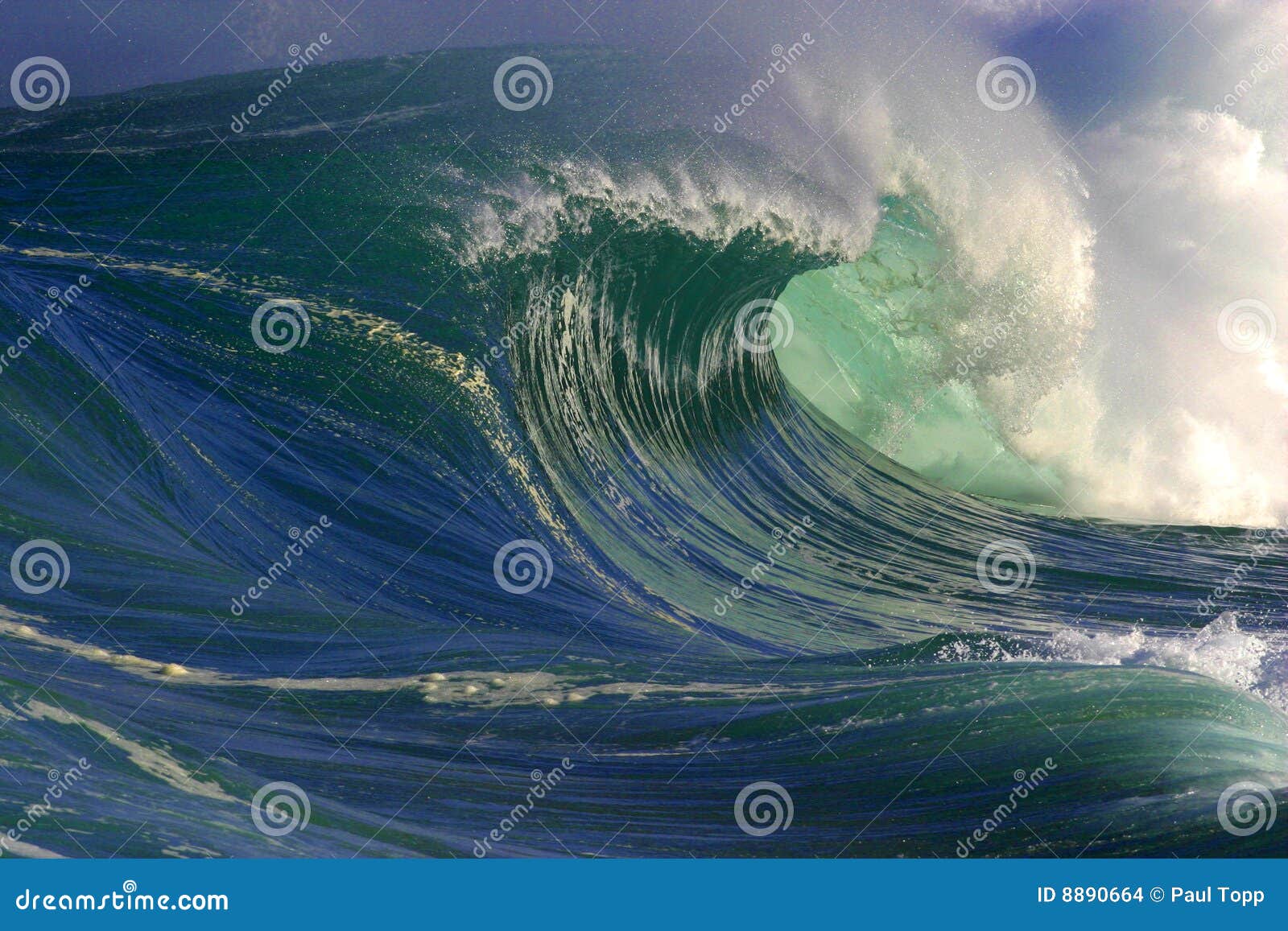 big ocean wave in hawaii