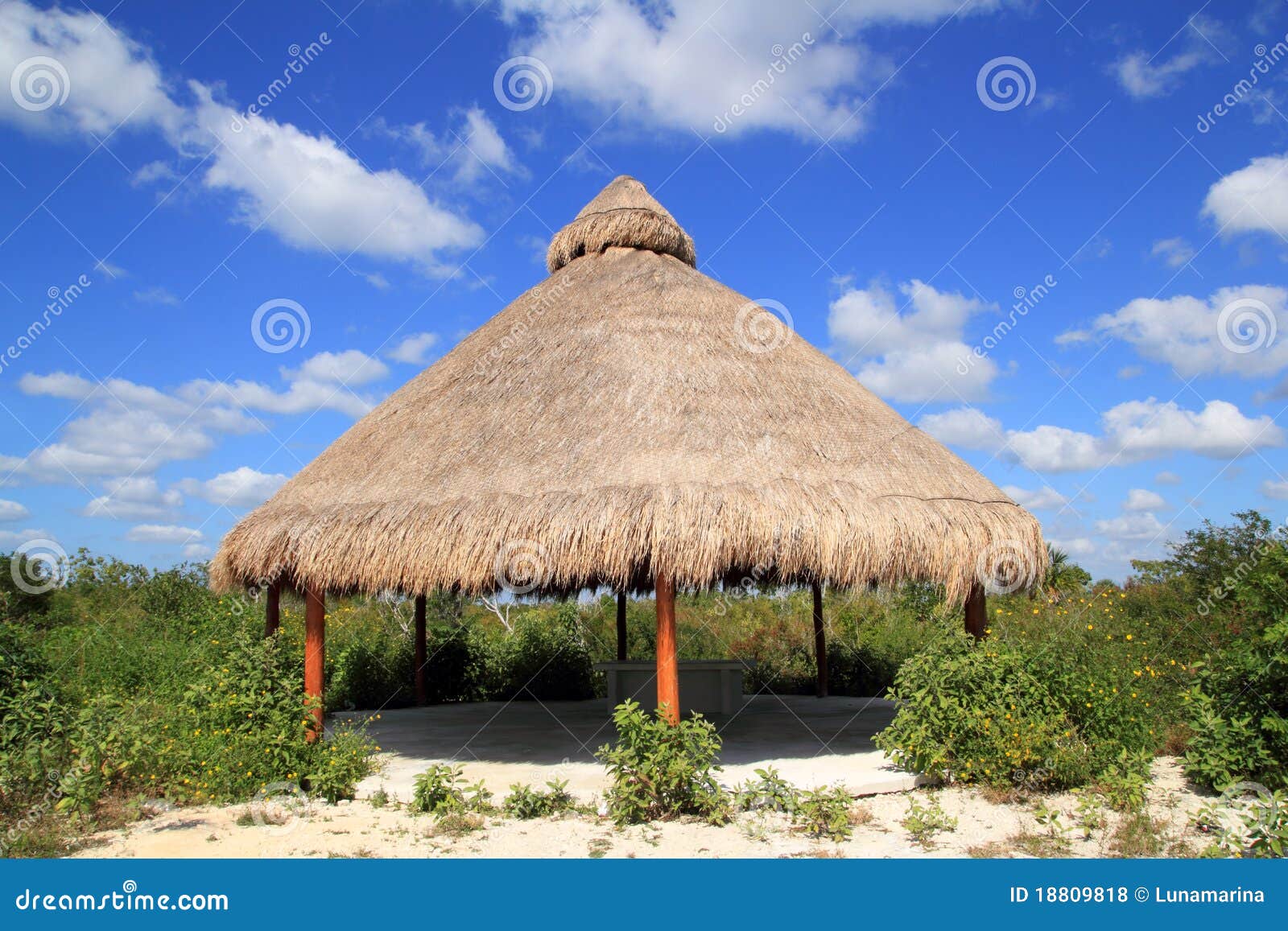 big palapa hut sunroof in mexico jungle
