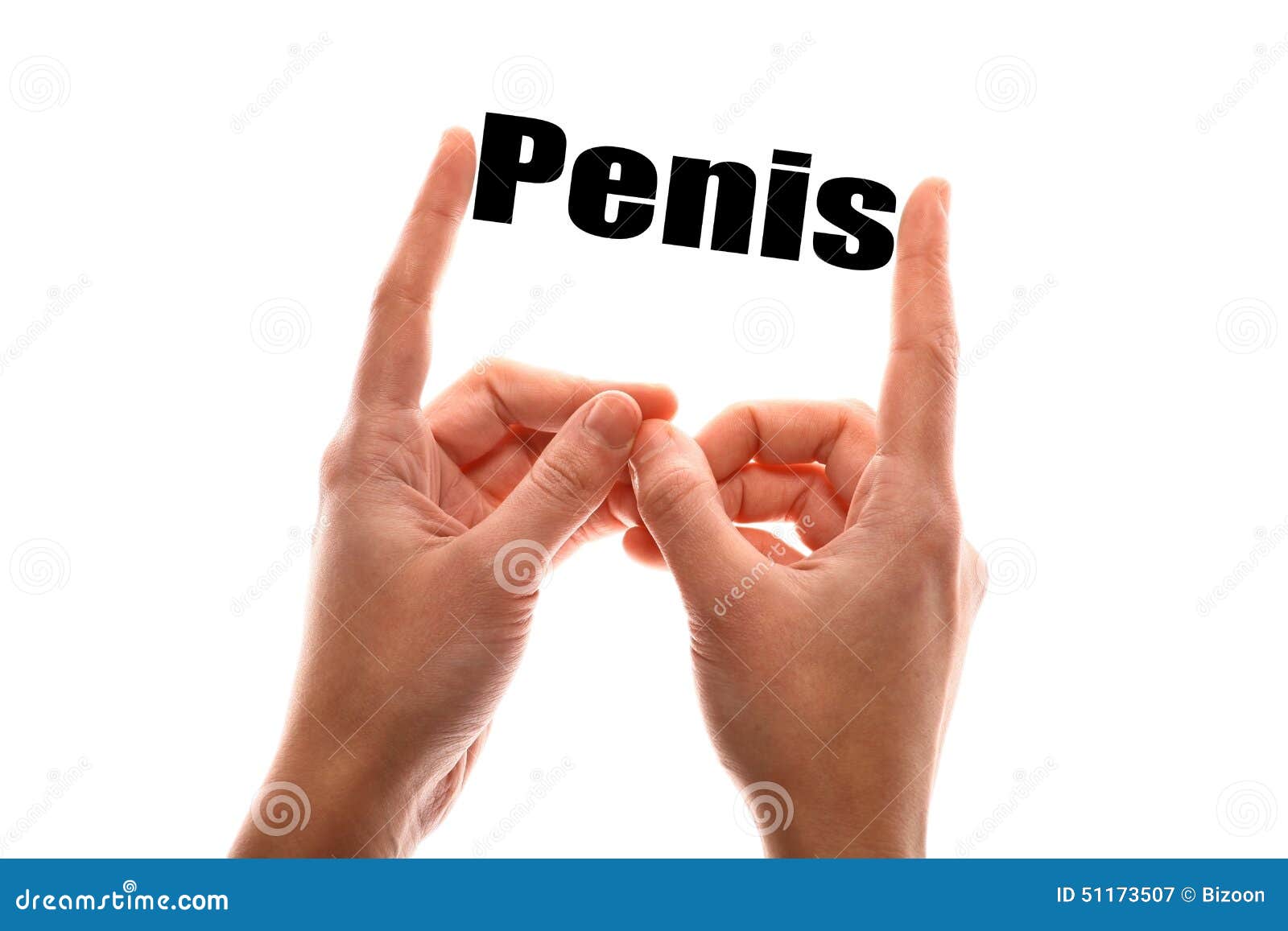 Penis Thumbs 19