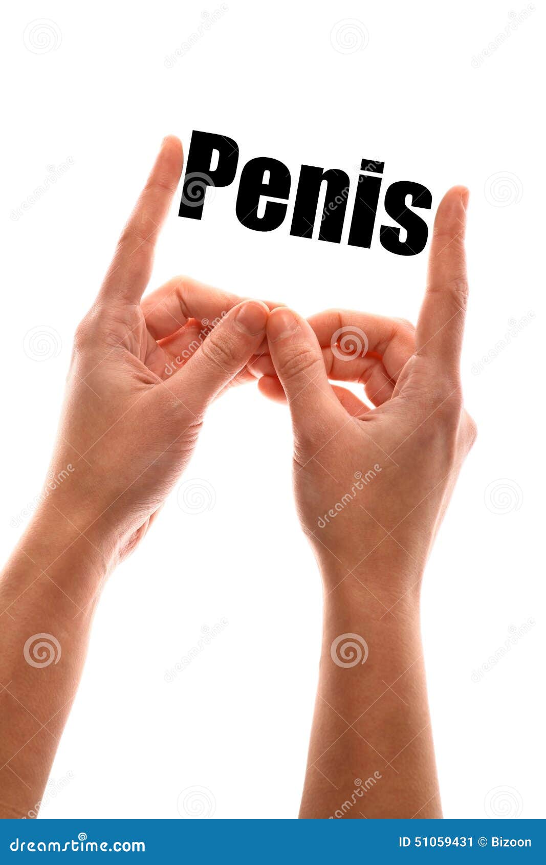 Penis Vertical 49