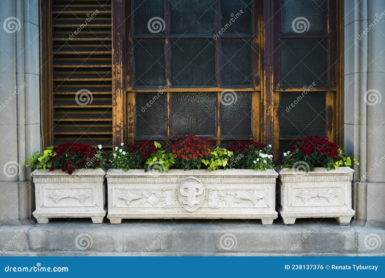 Big Planters with Various Plants Set Against Brick Wall with Windows