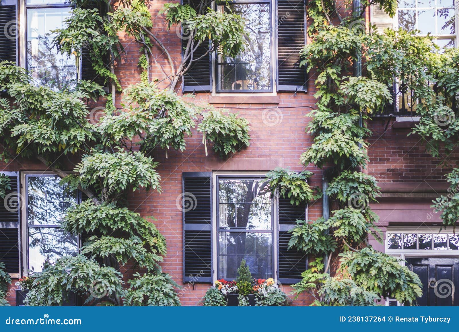 Big Planters with Various Plants Set Against Brick Wall with Windows