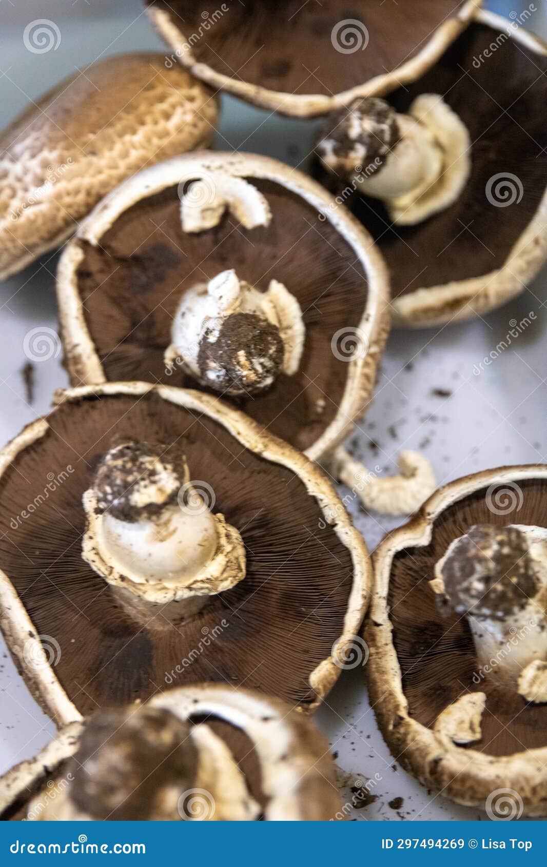 Big Portobello Mushrooms stock image. Image of funghi 297494269