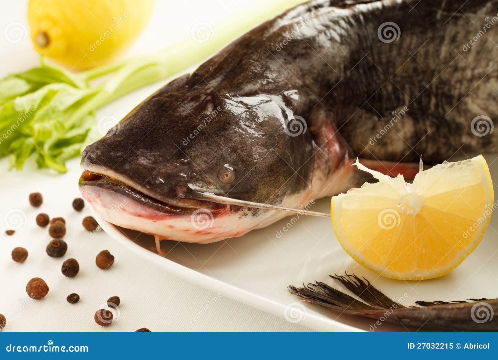 Big raw catfish stock image. Image of color, lemon, white 27032215