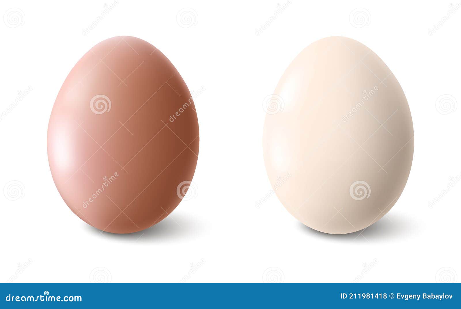 big realistic chicken eggs with shadow on white background - 