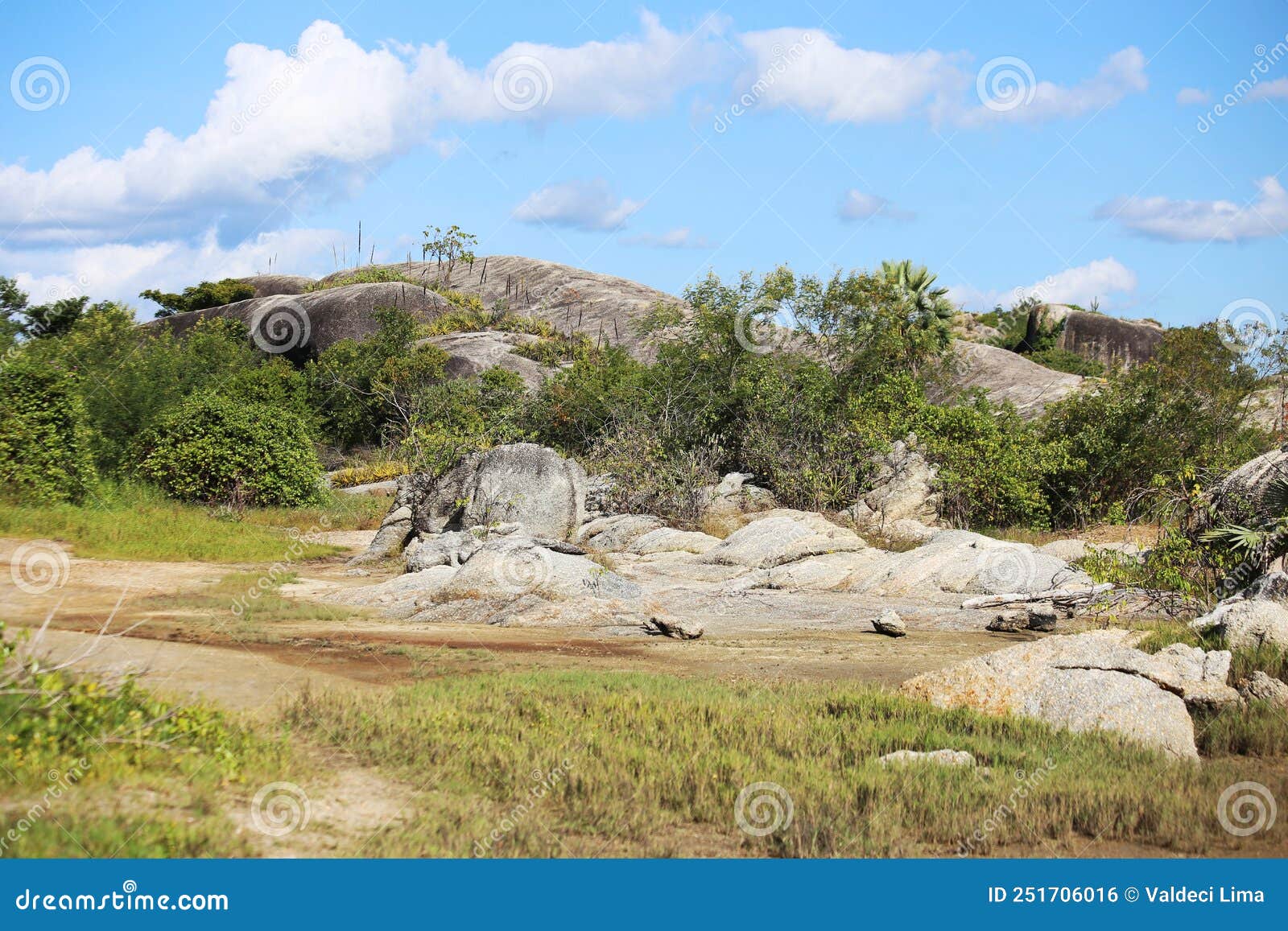 big rocks and undergrowth with small trees in the region close to the sea, northeast of brazil.