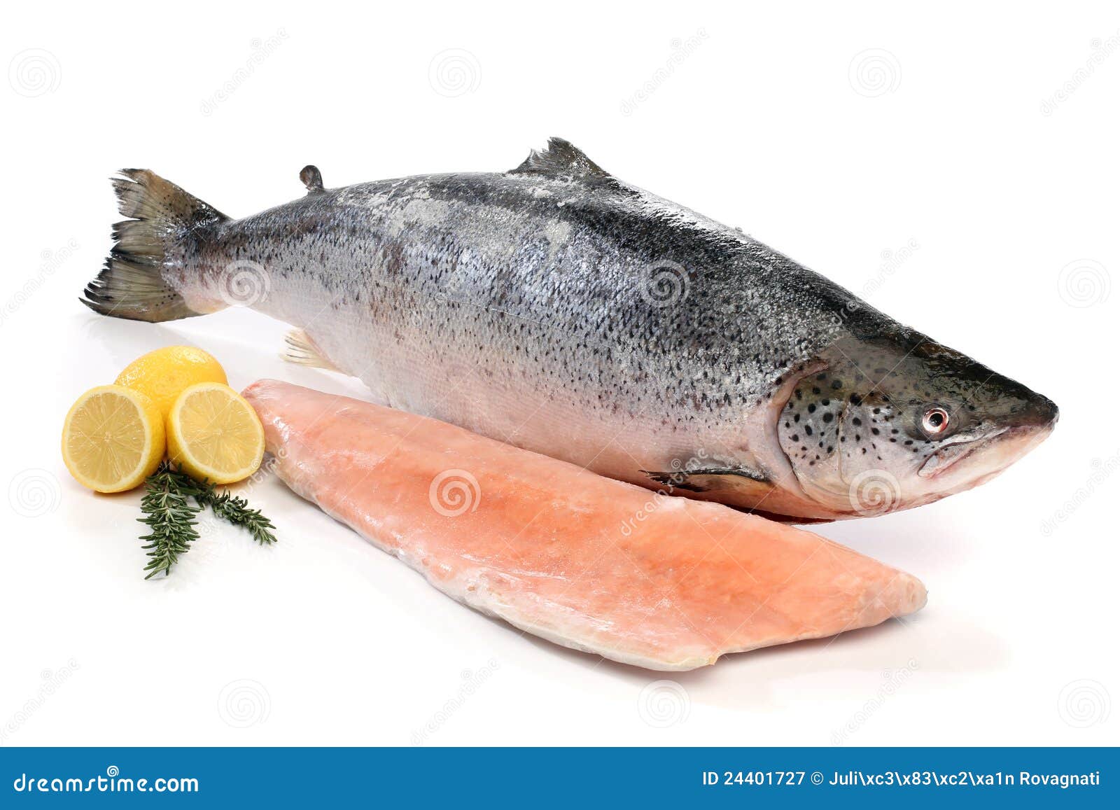 for dog the cone Fillet Salmon And Big Stock Image Free A Royalty Fish Photography for dog the cone Fillet Salmon And Big Stock Image Free A Royalty Fish Photography