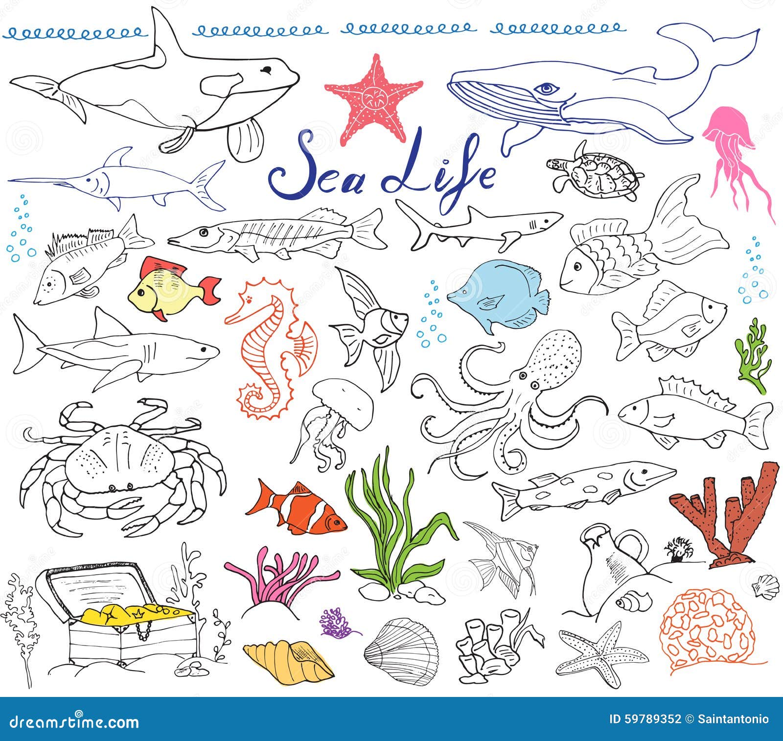 Vector - Fish, sea horse, marine life hand drawn set. Sea life vector sketch  | Sea creatures drawing, Marine life art, Sea life art