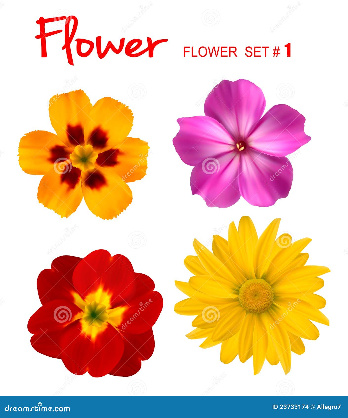 Big Set of Beautiful Colorful Flowers. Stock Vector - Illustration of ...