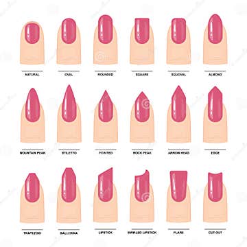 Big Set of Different Nail Shapes. Manicure Guide Stock Vector ...