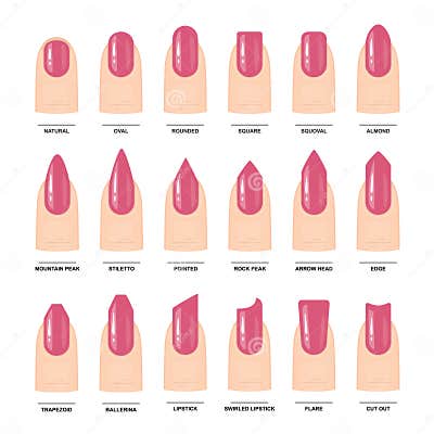 Big Set of Different Nail Shapes. Manicure Guide Stock Vector ...