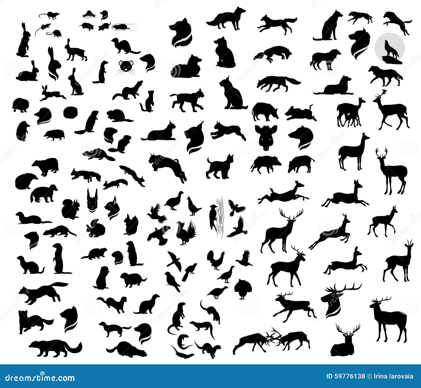 the big set of forest  animals silhouettes.