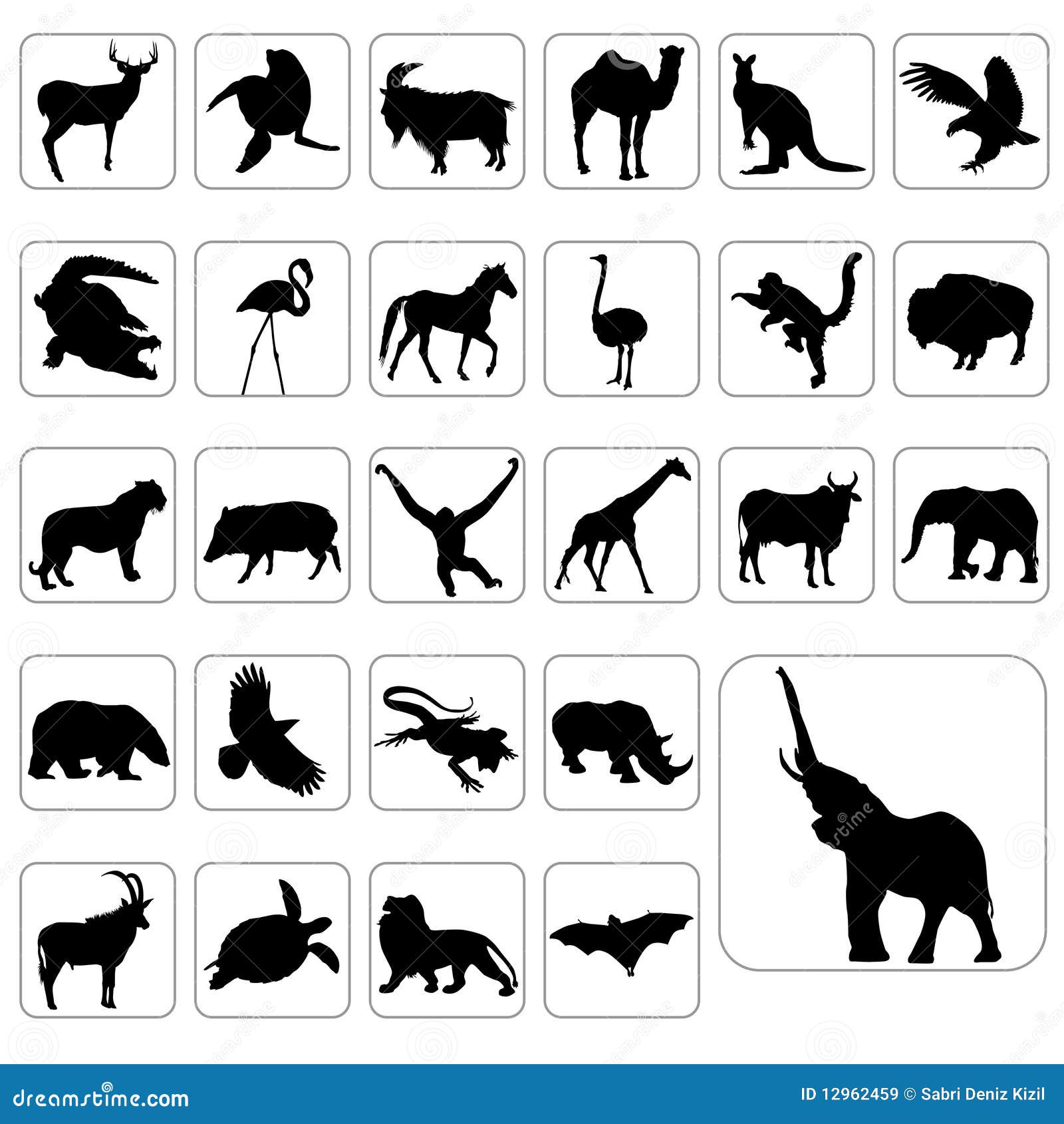 Big Set of Wild Animals Vector Stock Vector - Illustration of wildlife, kangaroo: 12962459 Big Set of Wild Animals Vector Stock Vector - Illustration of wildlife, kangaroo: 12962459
