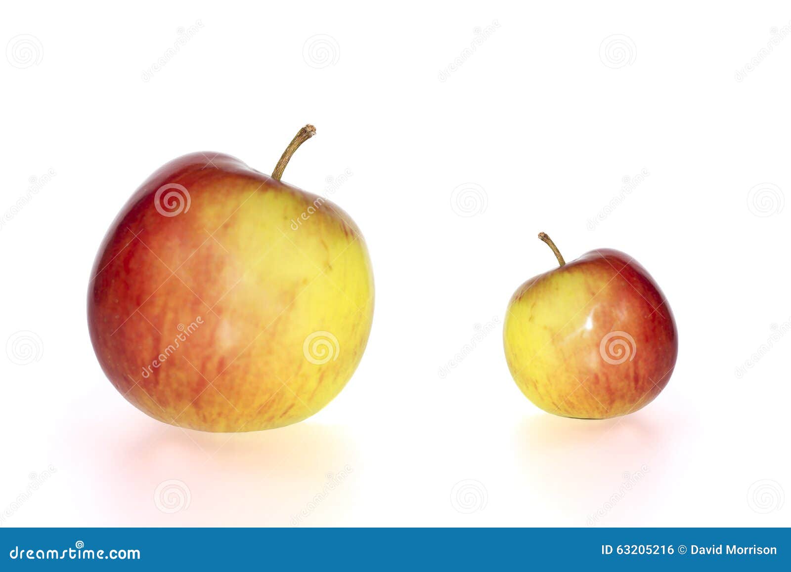 1,813 Big Small Apple Stock Photos - Free & Royalty-Free Stock Photos from  Dreamstime