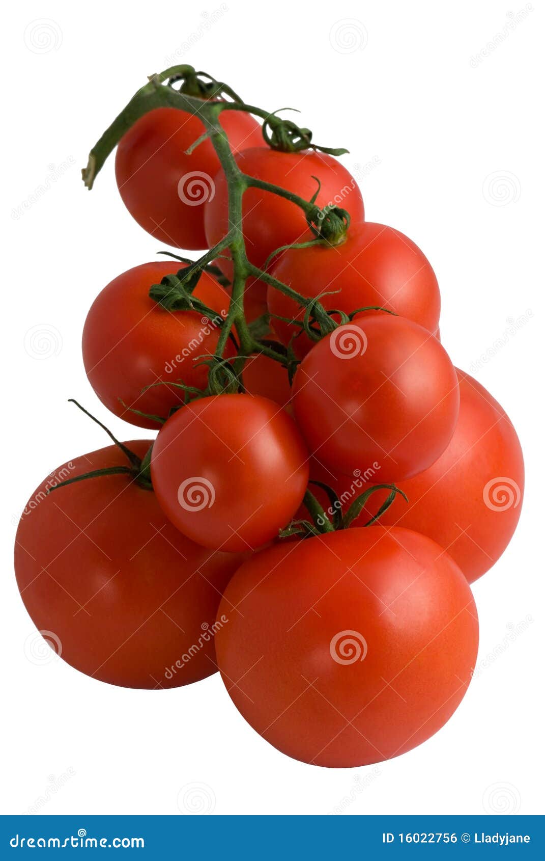 Big and small tomatoes stock photo. Image of healthy 16022756