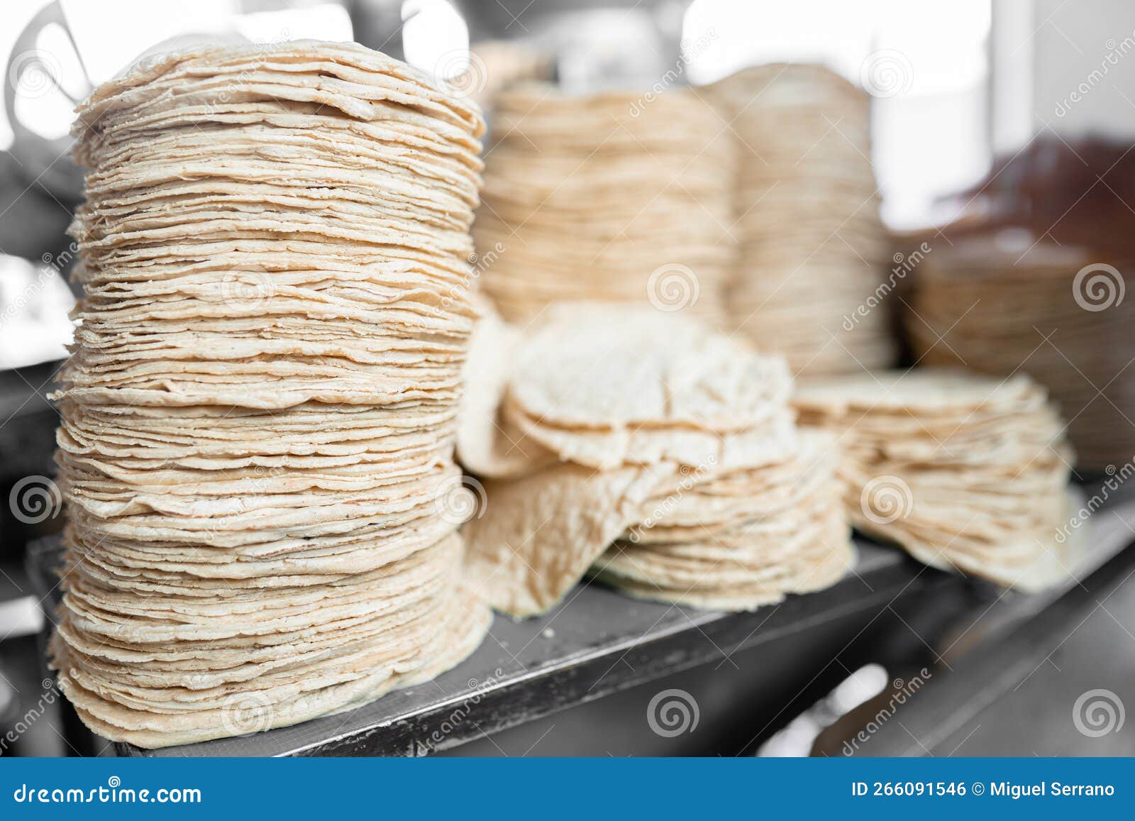 A Big Stack of Fresh Corn Tortillas are Resting on a Counter Stock Photo Image of healthy