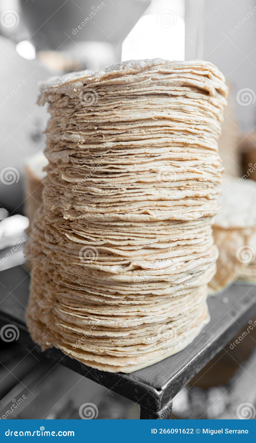 A Big Stack of Fresh Corn Tortillas are Resting on a Counter Stock