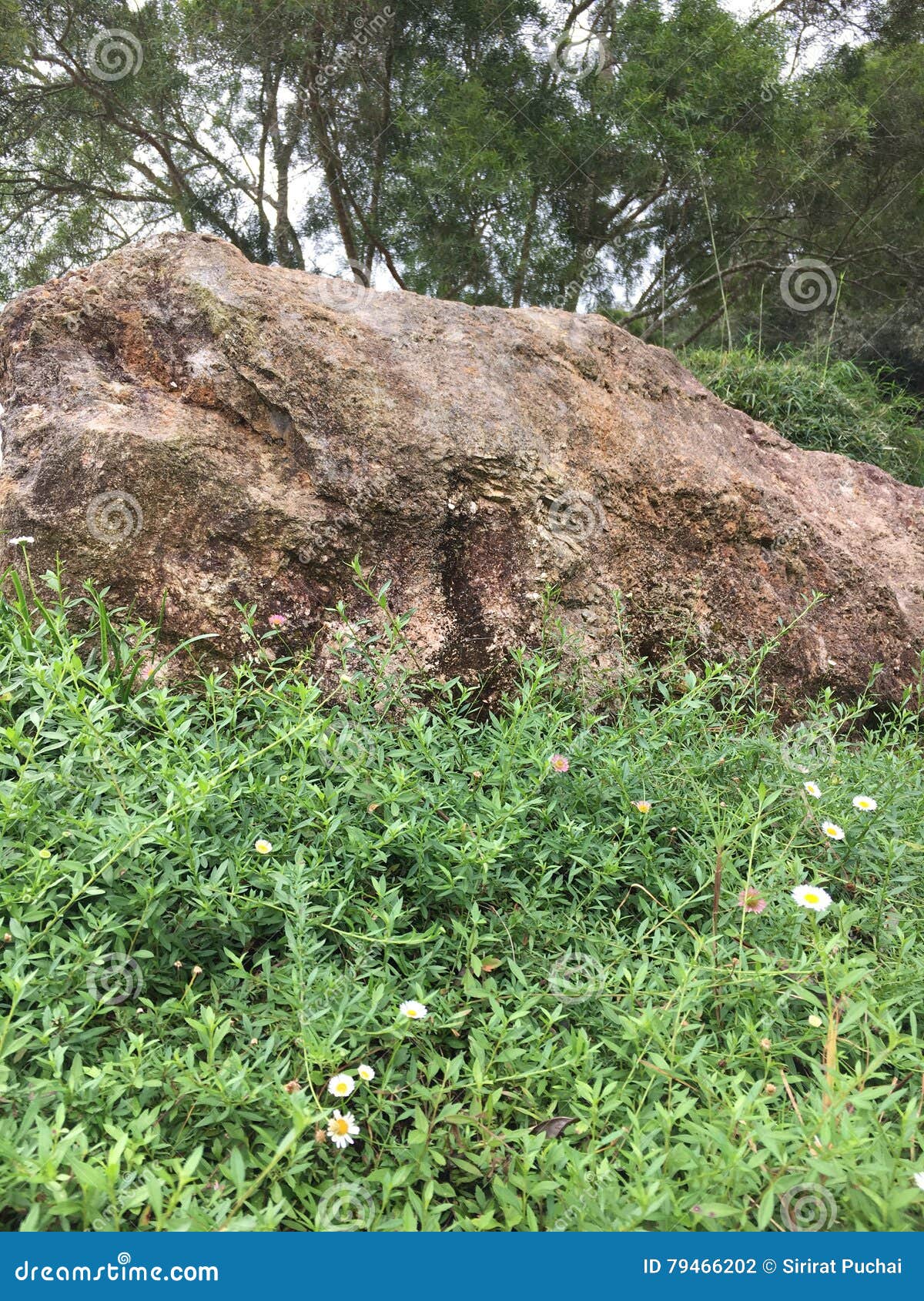 Big stone stock photo. Image of rock, stone, nature 79466202