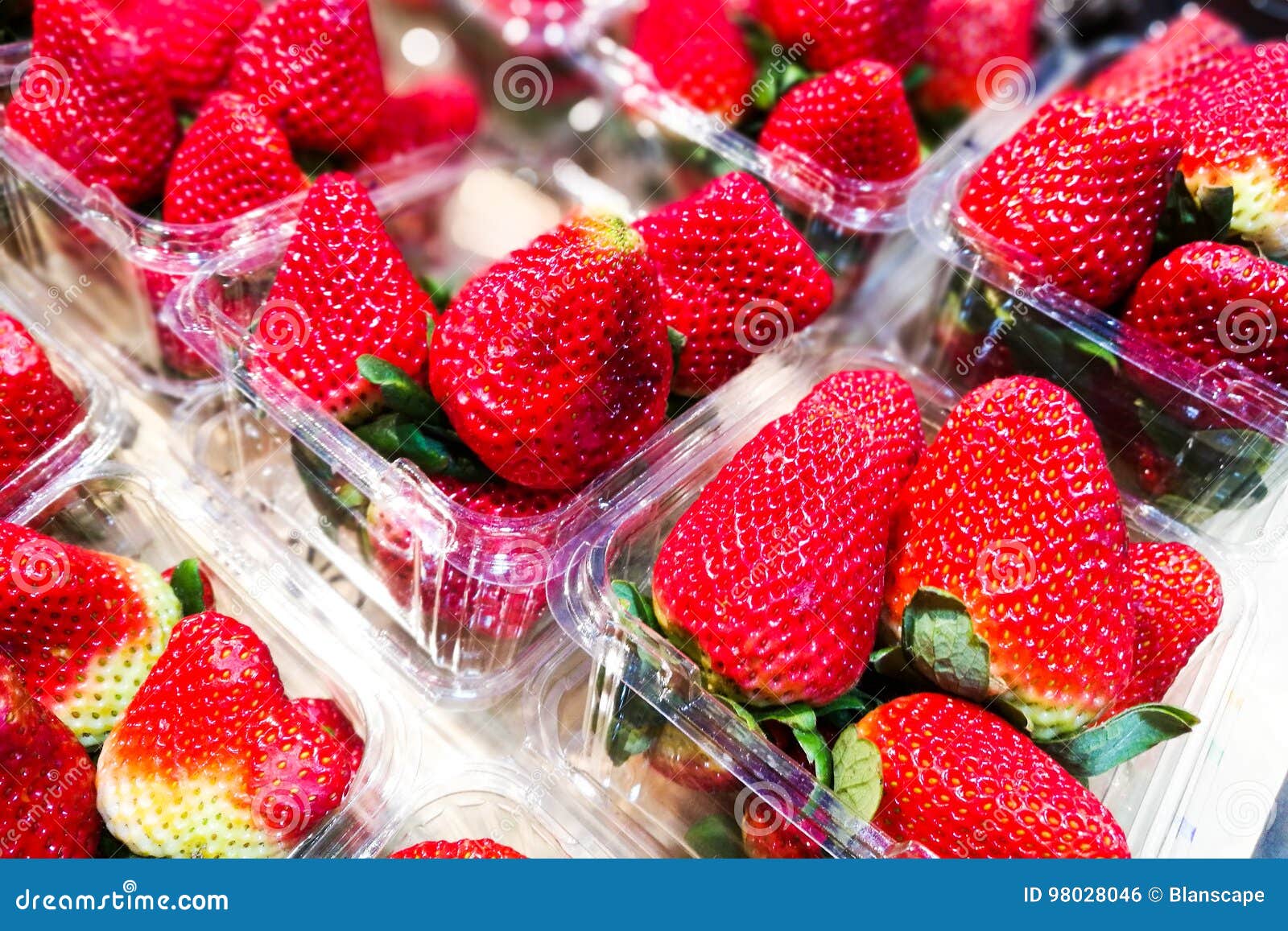 Big Strawberries in Containers Stock Photo Image of cardboard