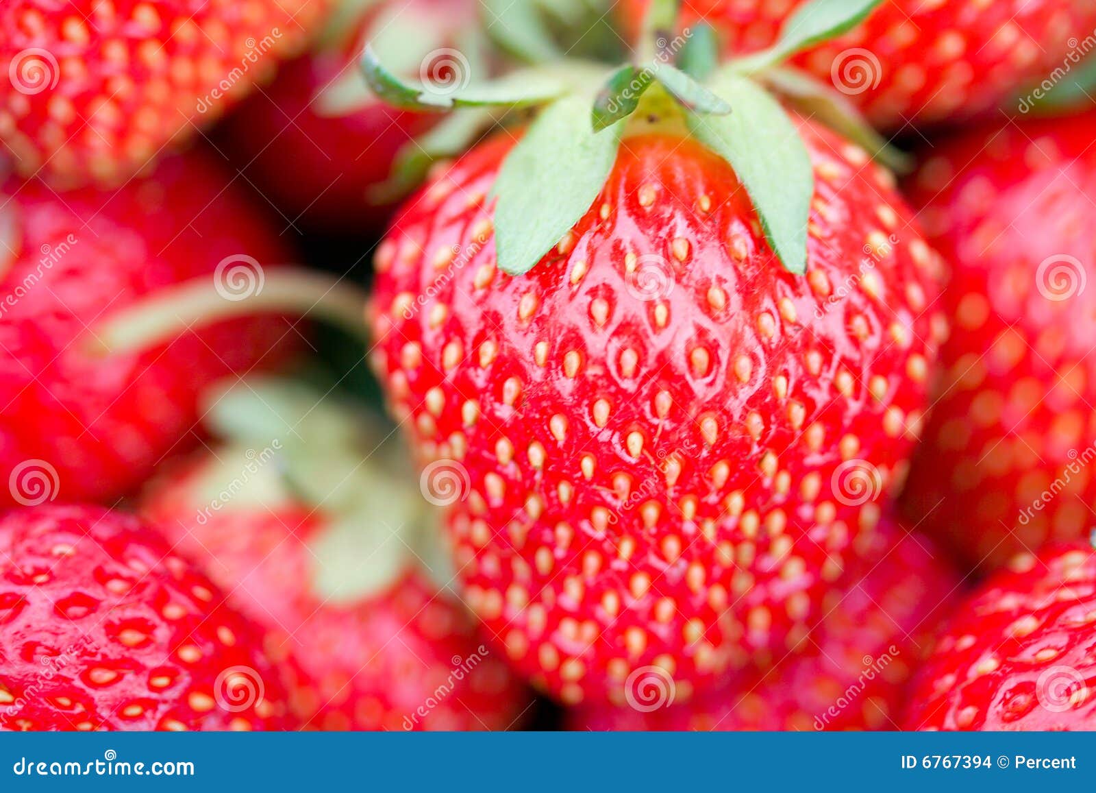 big strawberry with shalow depth of view