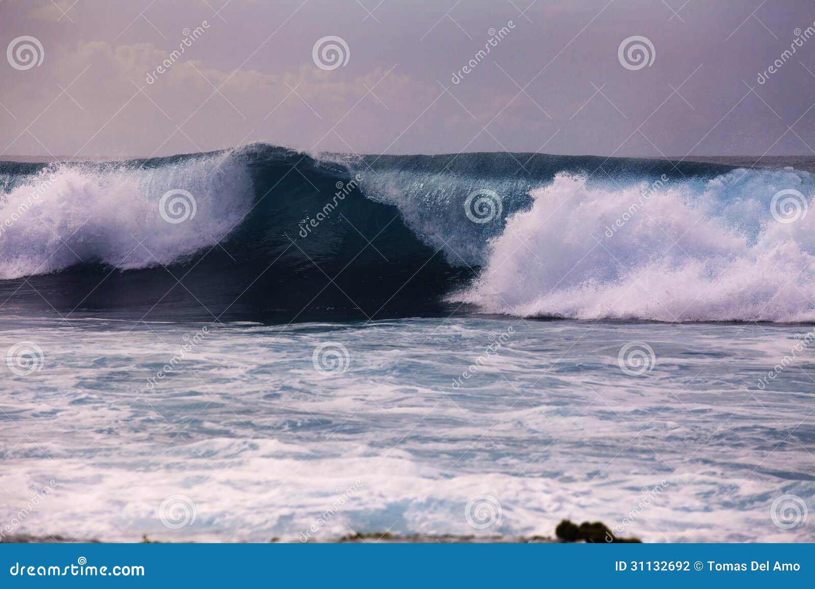 Big surf on hawaii s shore stock photo. Image of surf 31132692