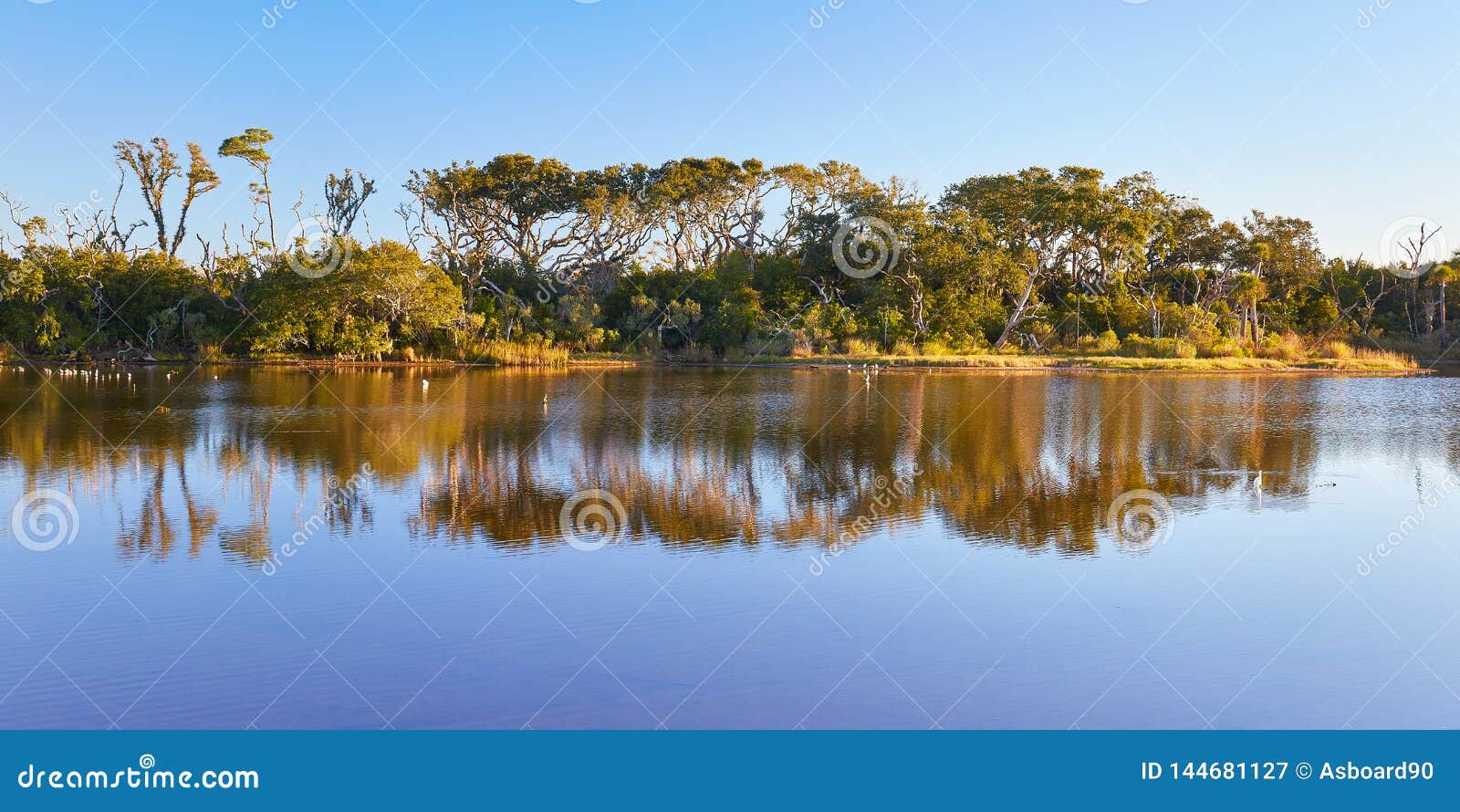 big talbot island, florida