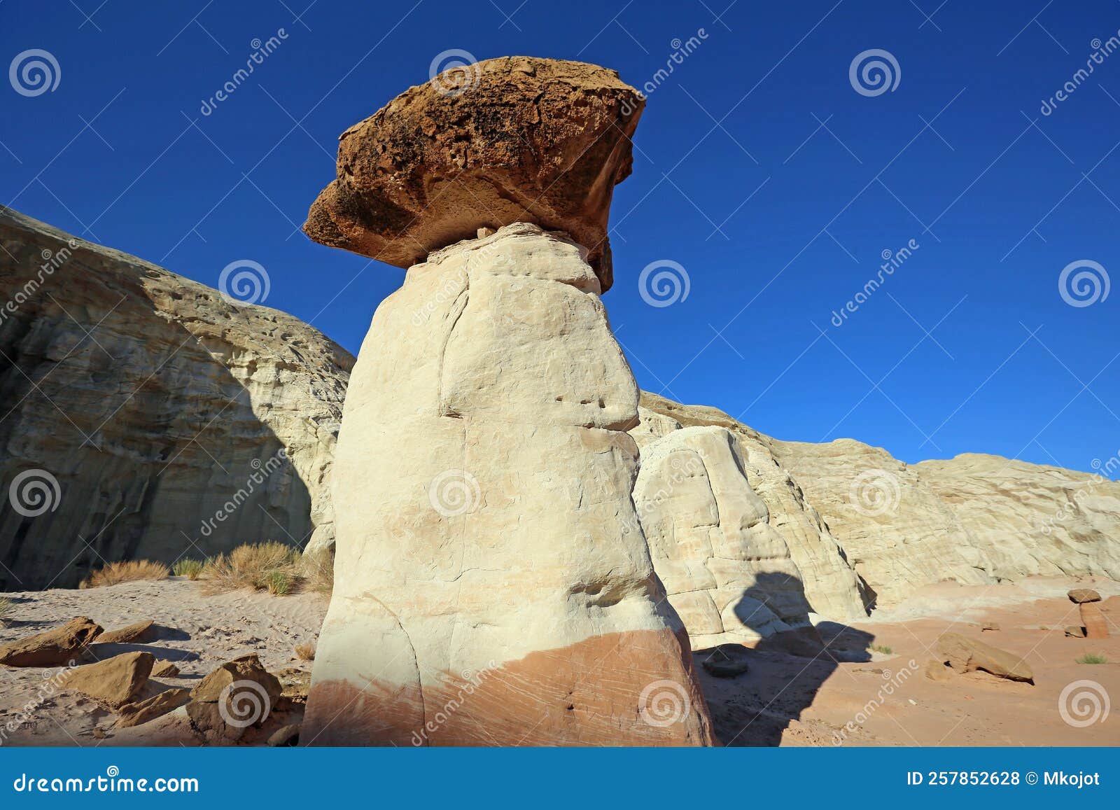 Big toadstool stock photo. Image of desert, landscape 257852628