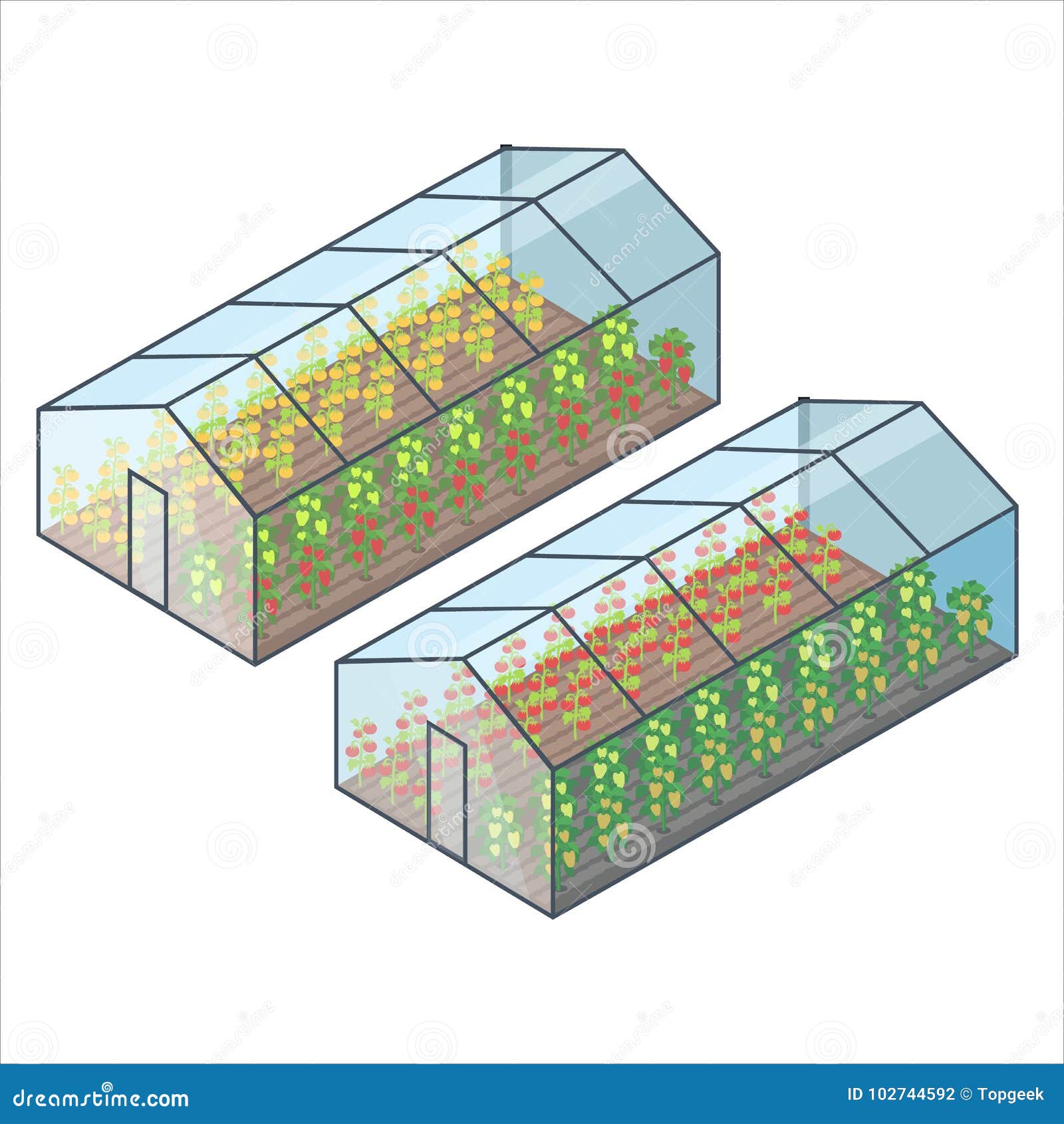 Transparent Greenhouse Stock Illustrations 231 Transparent Greenhouse Stock Illustrations Vectors Clipart Dreamstime