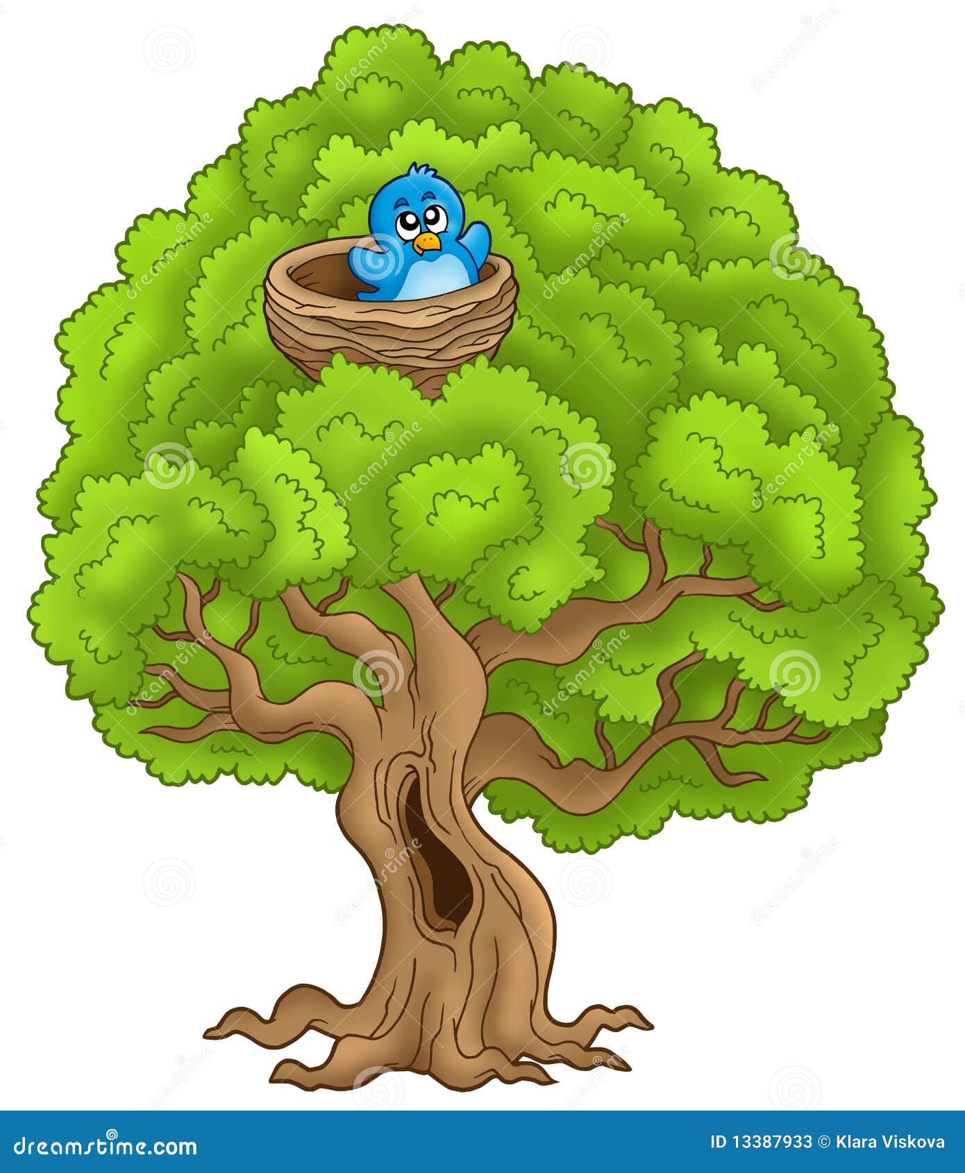 Big Tree With Blue Bird In Nest Stock Photos - Image: 13387933