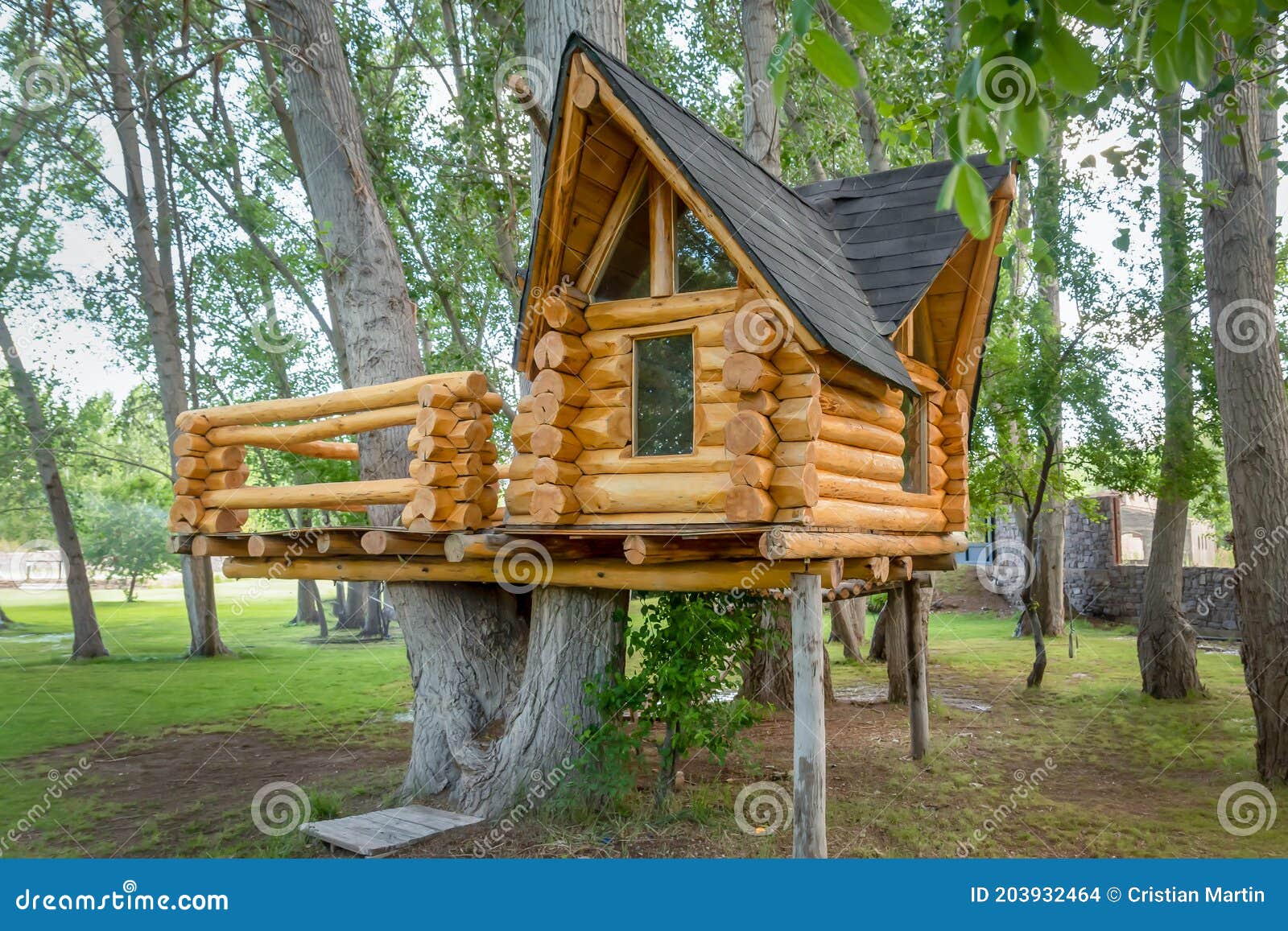 Big tree house in autumn stock photo. Image of forest 203932464