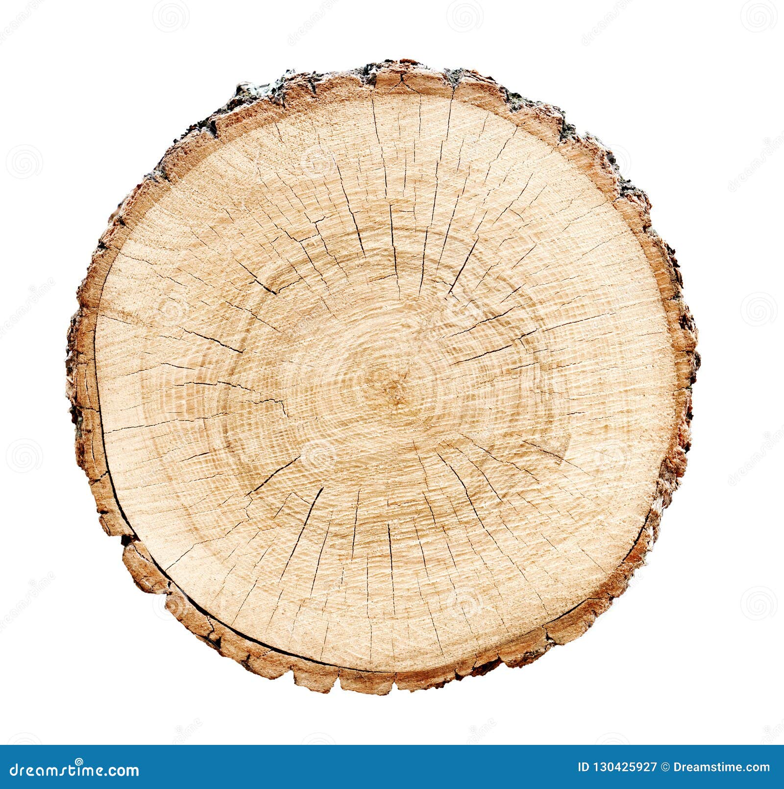 Tree rings saw cut tree trunk background. Vector illustration Stock Vector  Image & Art - Alamy