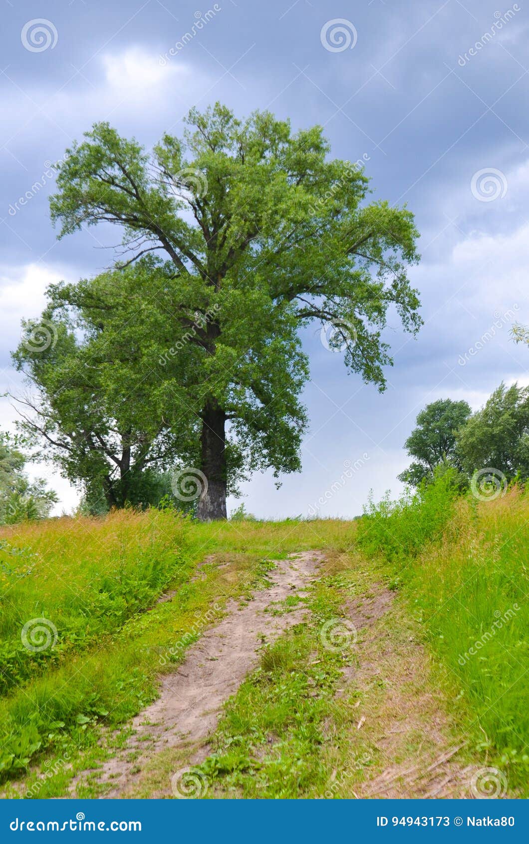 Big Tree Village Road To the Sky Stock Image Image of fresh, hill