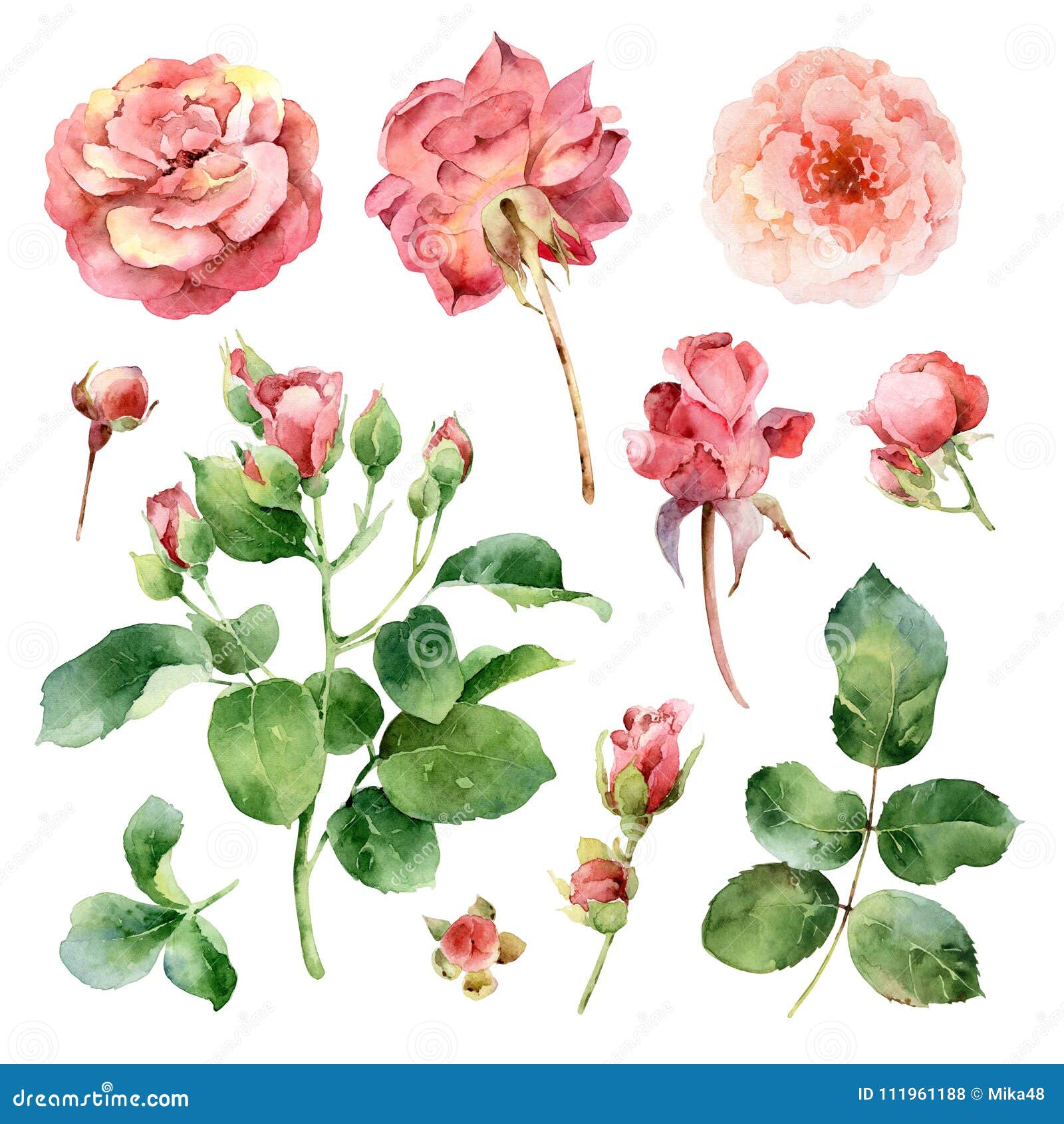 Big Watercolor Set with Roses Stock Illustration - Illustration of ...