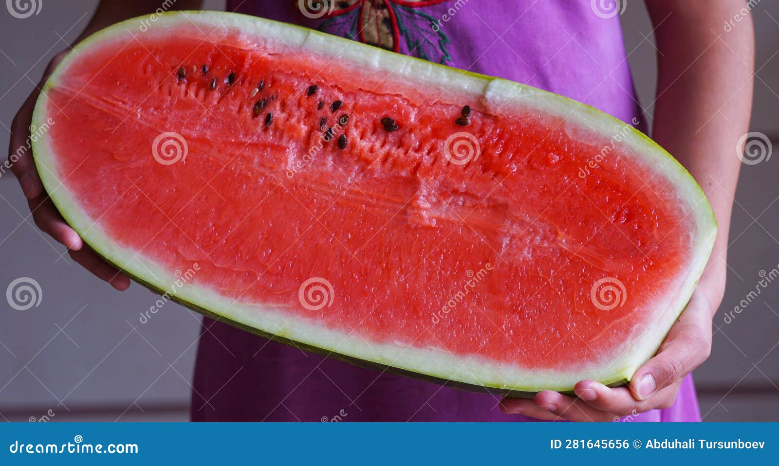 A Big Watermelon in the Girl S Hand Stock Photo Image of hand, fresh