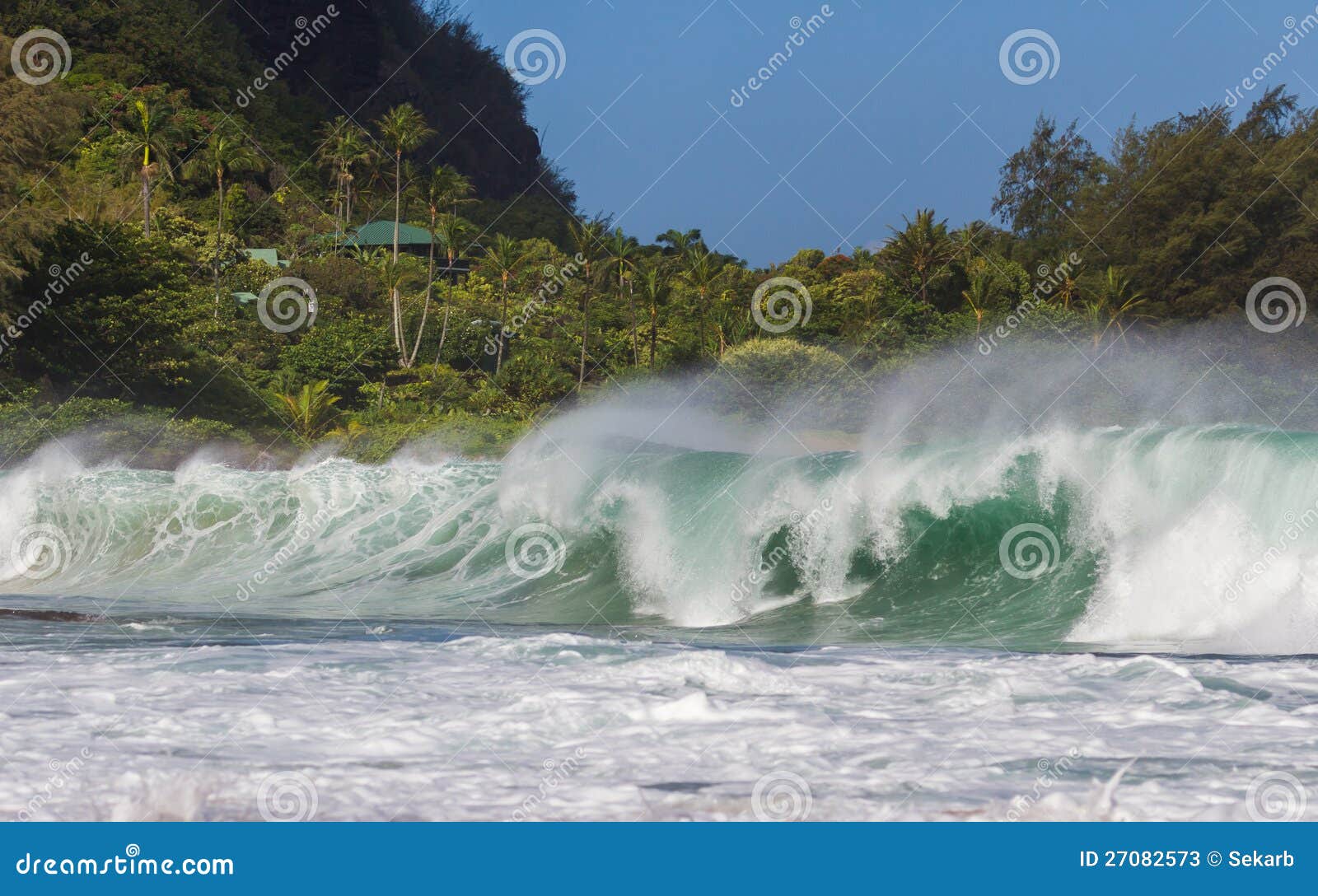 Big Wave at Tunnels Beach at Kauai Stock Image Image of outdoor, wave