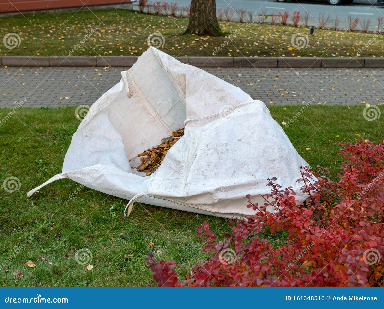 Big White Garbage Bags for Tree Leaves Stock Photo Image of wall