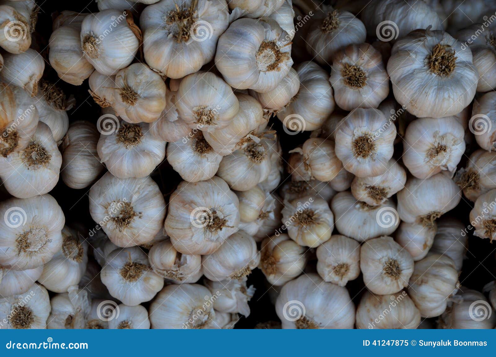 Big white garlic set stock image. Image of cuisine, colorful 41247875