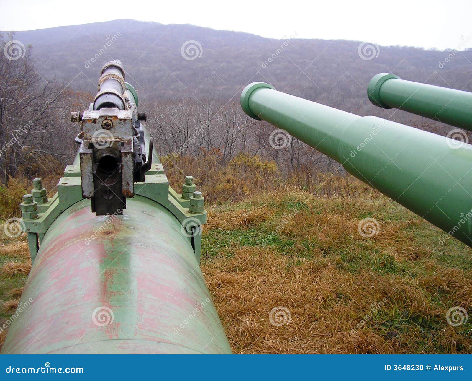 Biggest cannon. stock photo. Image of cannon, piece, defence 3648230