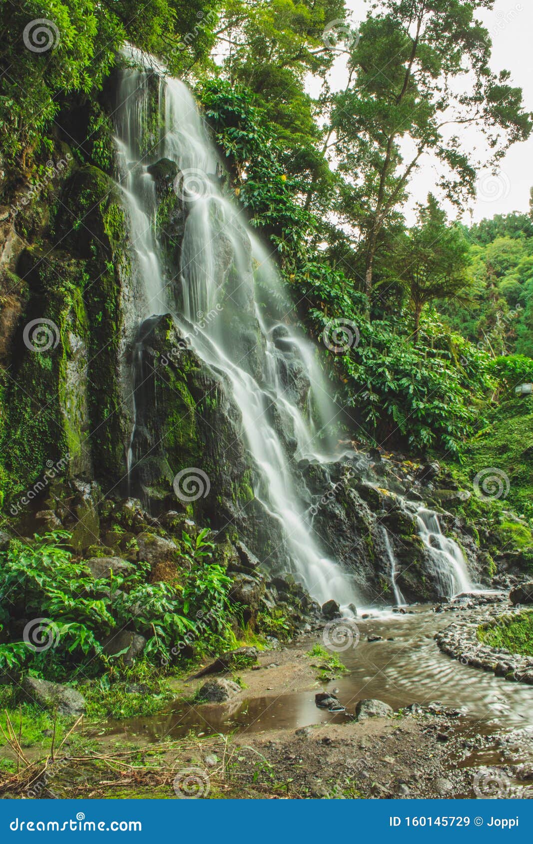 biggest waterfall at parque natural da ribeira dos caldeiroes, sao miguel, azores, portugal