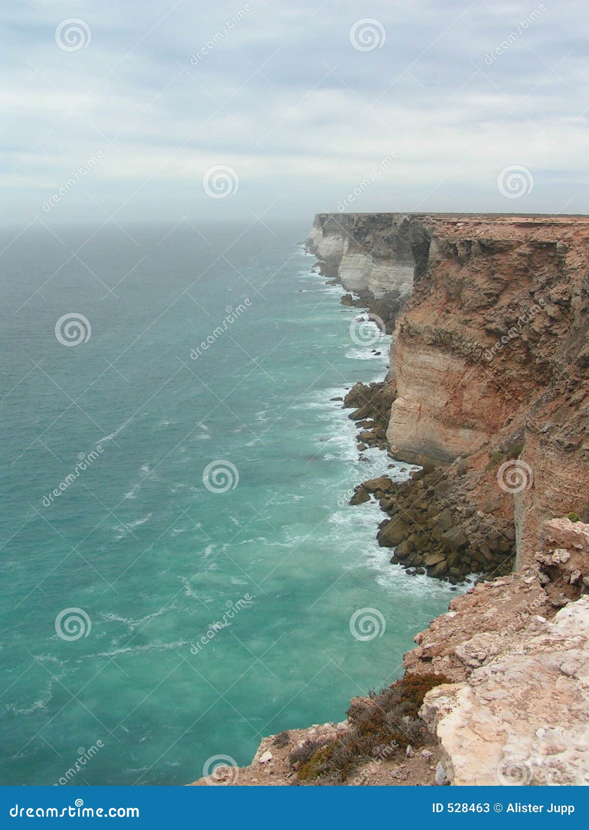 the bight