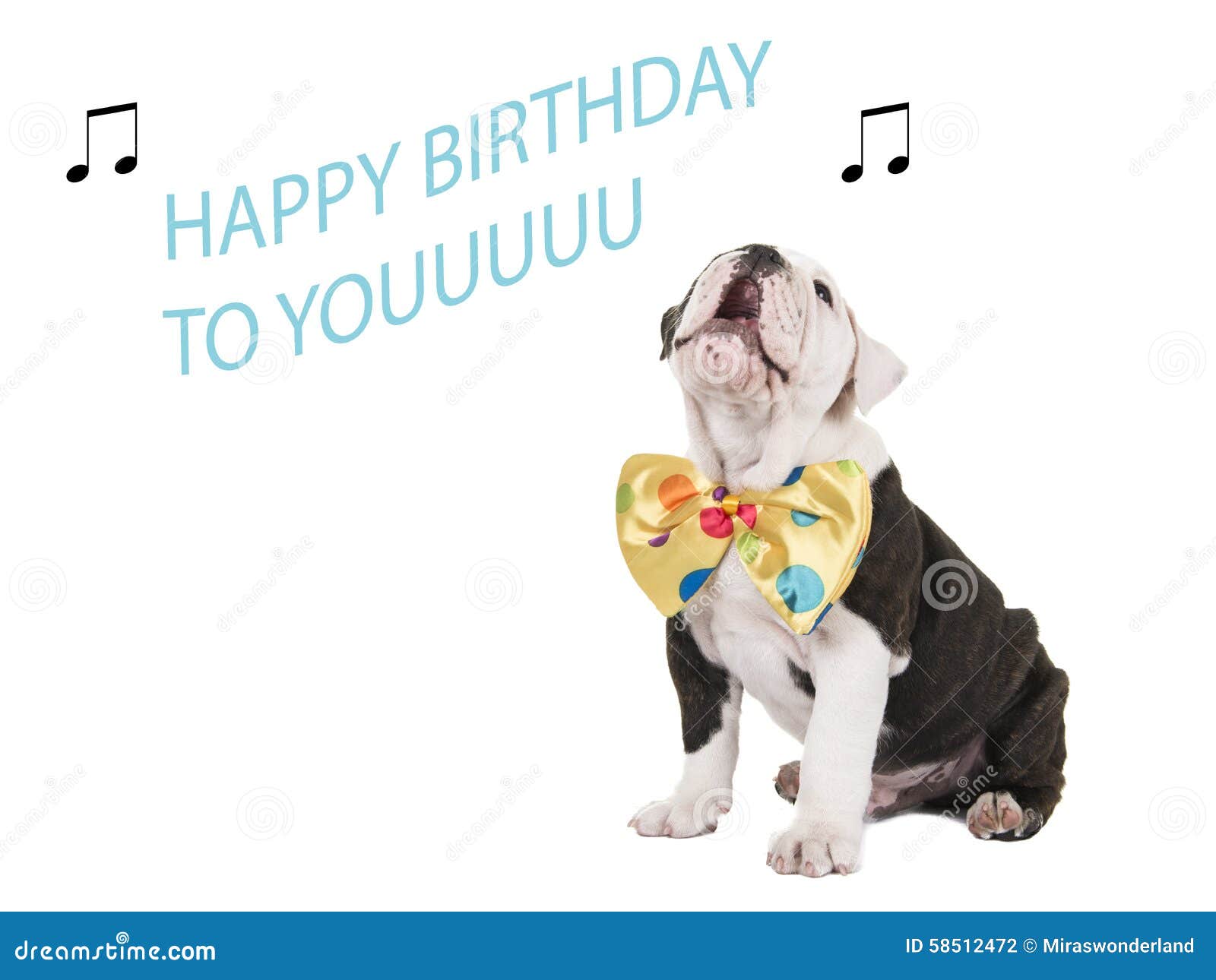 Biglietto Di Auguri Per Il Compleanno Con Il Canto Inglese Del Bulldog Fotografia Stock Immagine Di Canto Scheda