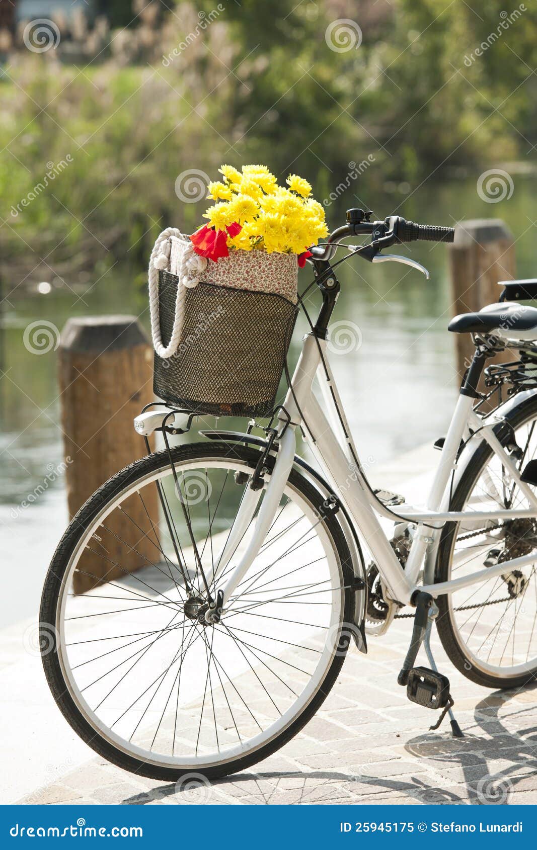 Bike with Basket and Flowers Stock Image Image of bicycle, women