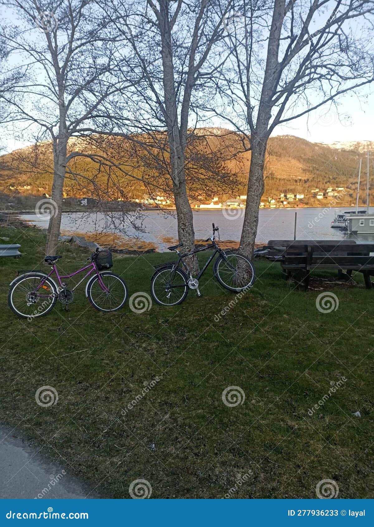bike, bicicleta, paseo, noway, mountain