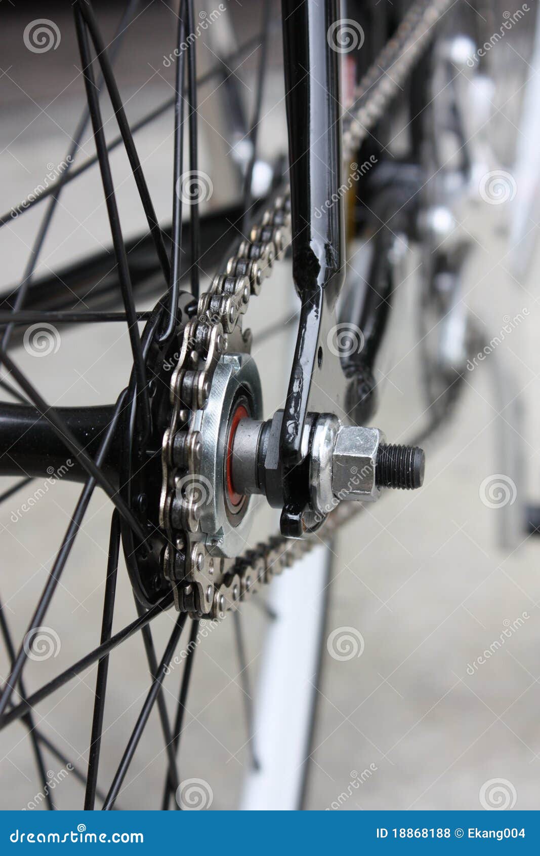 Bike Chain stock photo. Image of tire, bearing, fixed 18868188
