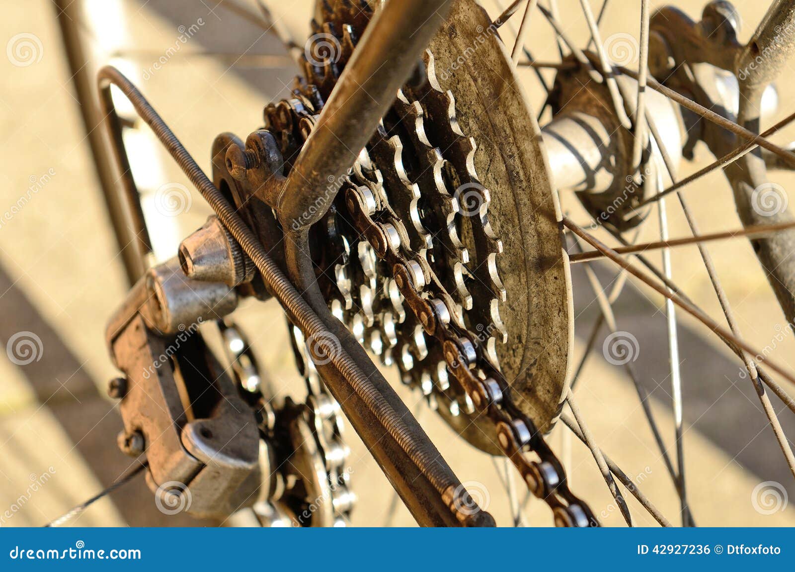 Bike Gears stock photo. Image of chainset, teeth, bike 42927236