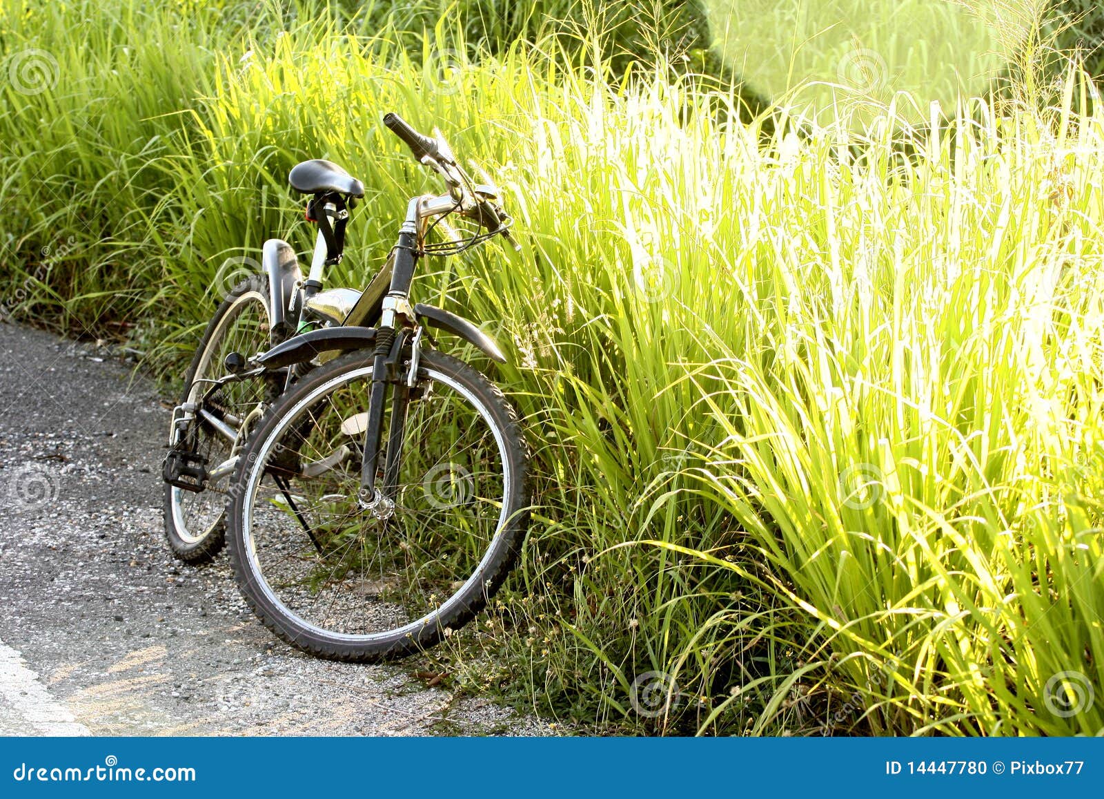 Bike with green meadow. stock photo. Image of tool, countryside 14447780
