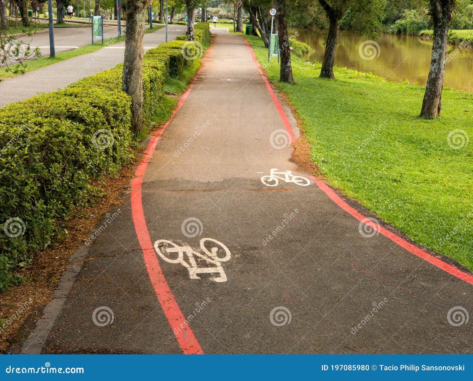 Bike Lane Signs On Streets Ground In Brazil Stock Photo Image Of