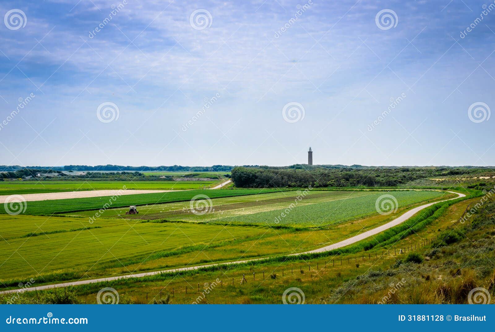 Bike Path in Zeeland stock photo. Image of path, farming 31881128