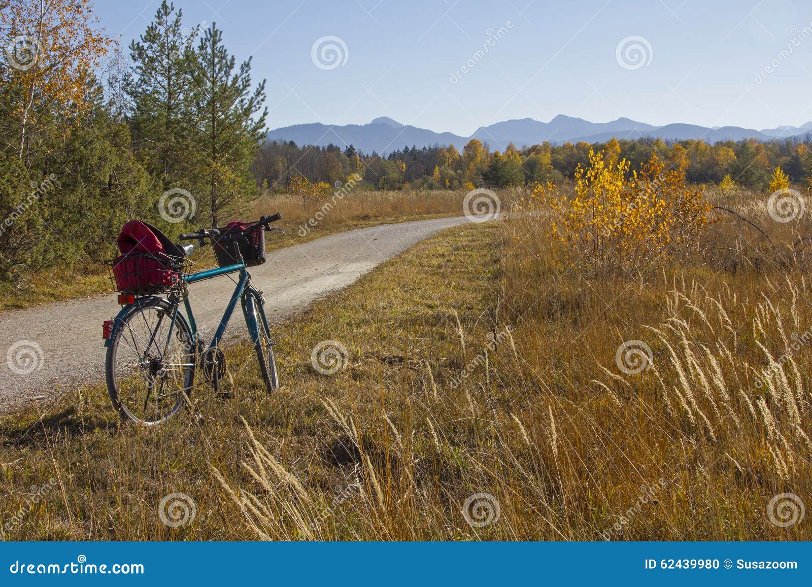 bike route through isar floodplain, autumnal grassland and fores